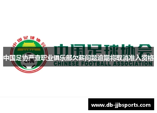 中国足协严查职业俱乐部欠薪问题逾期将取消准入资格