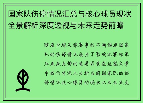 国家队伤停情况汇总与核心球员现状全景解析深度透视与未来走势前瞻